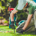 Transform Your Lawn: How Cut Grass Services In Northern Virginia Enhance Home Staging Ideas